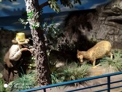 -陕西自然博物馆