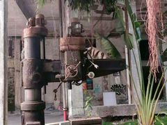 -广州市紫泥堂文化创意园景区