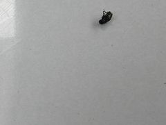 -暖泉古镇