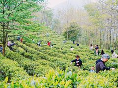 -北川羌城旅游区