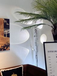 -小梨·OndaPro·专业脱毛连锁机构