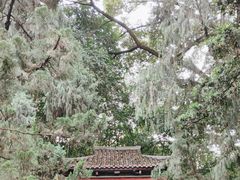 -成都武侯祠博物馆