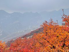 -周口店坡峰岭风景区