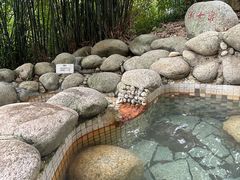 -三江森林温泉度假区