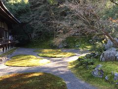 -醍醐寺