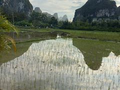 -明仕田园
