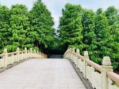 -上海海湾国家森林公园