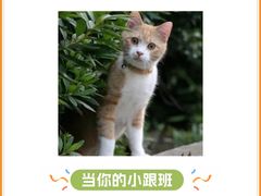 -半岛宠物医院24小时(科华中路店)