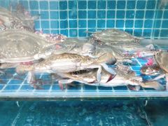 -宾朋海鲜美食餐厅·特色美食(兴海路店)