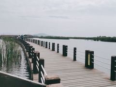 -苏州太湖湖滨国家湿地公园