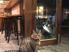 -猫的天空之城概念书店(苏州平江店)