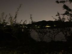 -昆山城市生态森林公园