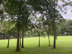 -荔枝公园(福田区)