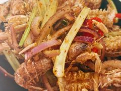 -红盔甲·小龙虾(天钥桥店)