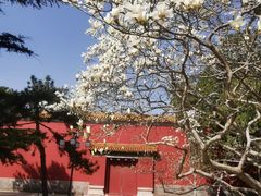 -北京市劳动人民文化宫(太庙)