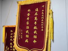 -半岛宠物医院24小时(科华中路店)