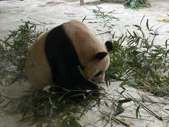 -杭州野生动物世界