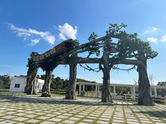 -上海滨江森林公园