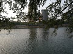 -安徽大学(龙河校区)