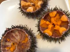 -海胆小馆(东北水饺·春柳店)