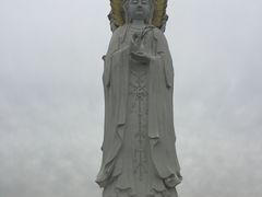-白洋淀景区