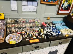 -猫咪博物馆(顶澳仔猫街店)