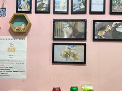 -汪说·狗咖(旺城大厦店)