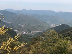 -莫干山风景区