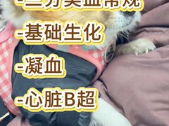-宠福鑫动物医院(立水桥分院)