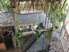 -Rainforest