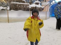-世界之窗阿尔卑斯冰雪世界