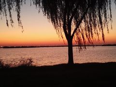 -漕湖湿地公园