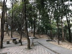 -火炉山森林公园