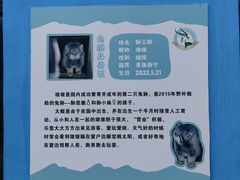 -青藏高原野生动物园