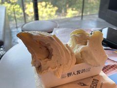 -野人牧坊Gelato(天津南开大悦城店)
