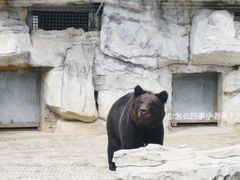-贵州森林野生动物园