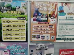 -瑞派长江宠物医院·猫科·外科·24小时夜护(谊城公寓分院)