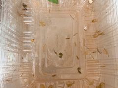 -美廉美多点(新龙店)