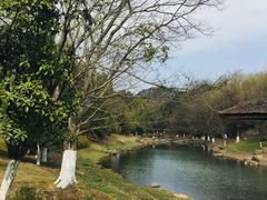-良渚文化村
