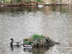 -水磨沟公园