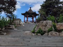 -大兴滨河森林公园