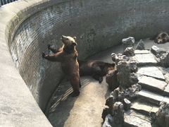-赭山公园