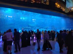 -迪拜水族馆及水下动物园