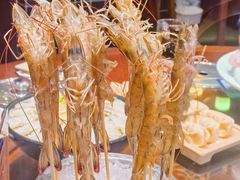 深水虾-东海怡品海鲜豆捞(舟宿夜江店)