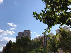 -Seesaw Coffee(朝阳大悦城店)