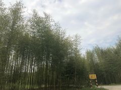 -老虎潭水库