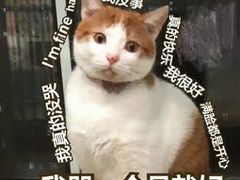 -北京华联购物中心(天通苑店)