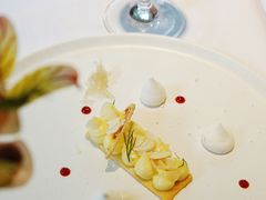 柠檬挞-蝶舍·MAISON PAPILLON