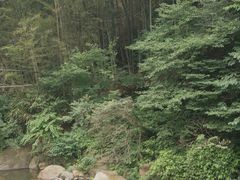 -长谷洞天