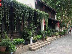 -运河游船(武林门码头)